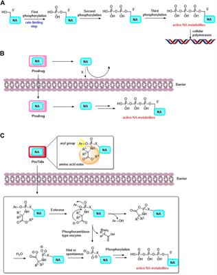 Advanced prodrug strategies in nucleoside analogues targeting the treatment of gastrointestinal malignancies